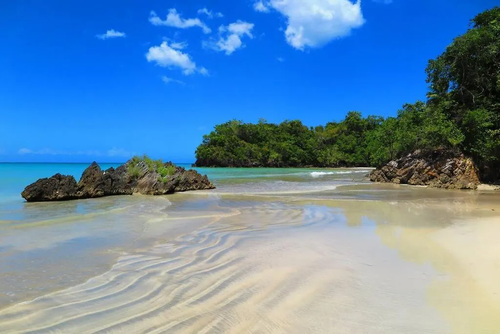 Lujoso Penthouse 2 Hab A 2 Min De La Playa O301 Appartement Las Terrenas 0*,